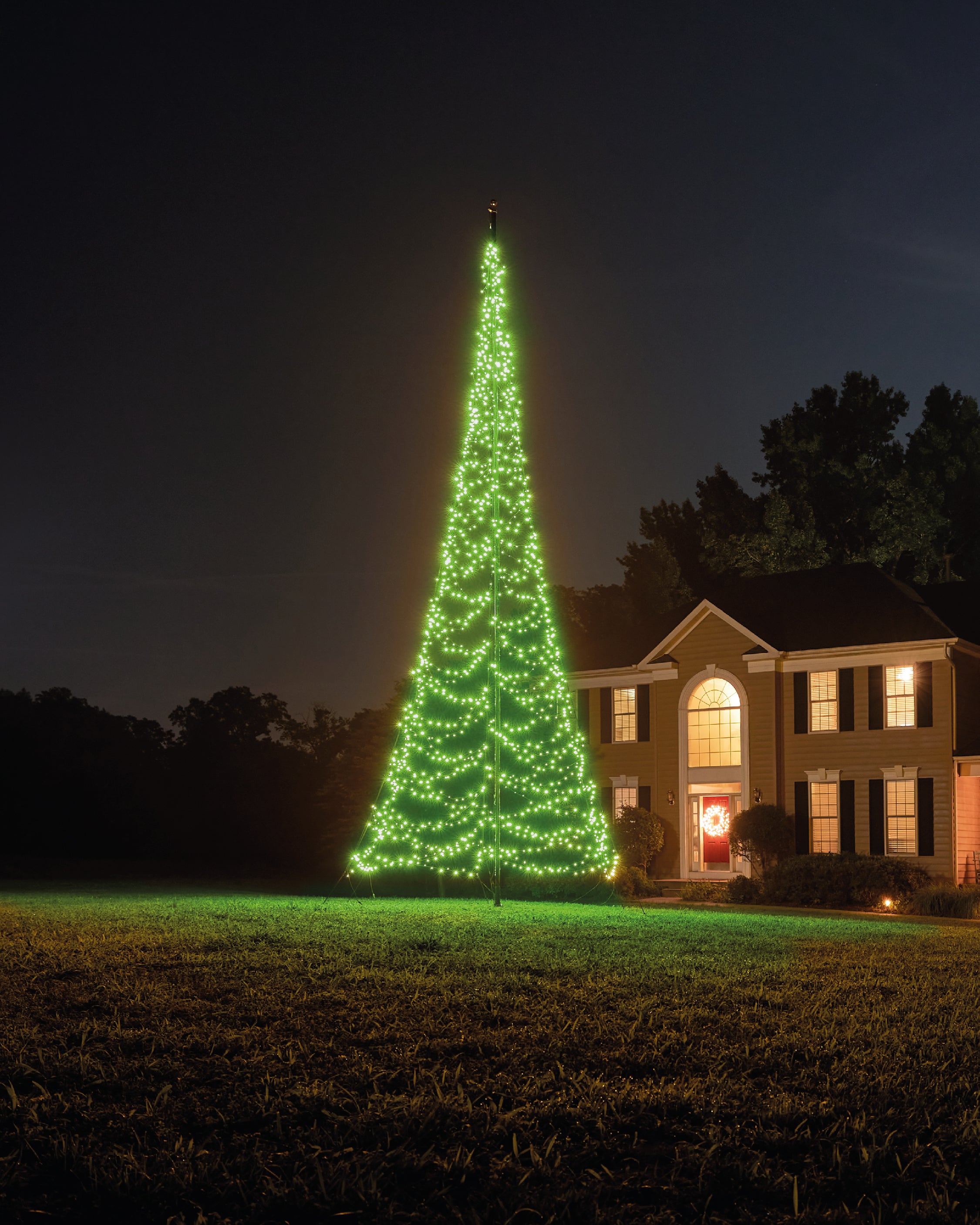 Rode Bal Op De Tak Van Een Kerstboom Op Witte Achtergrond Stock Foto Rode Bal Op De Tak Van Een Kerstboom Op Witte Achtergrond Stock Foto