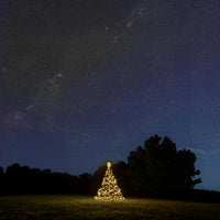 Fairybell Standard | 2 metres | 300 LED lights | Includes pole | Warm white |