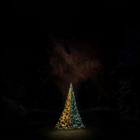 Fairybell Premium | 3 meter | 576 LED-lampjes | Inclusief mast | Luminous Switch | Pre-order