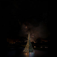 Fairybell Premium |3 meter | 320 LED-lampjes | Inclusief mast | Luminous Switch | All Surface | Pre-order