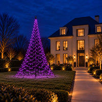 Fairybell Pro | 10 meter | 1792 LED-lampjes | Smart Magic | Pre-order